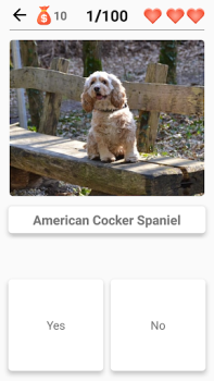 Baixar Cachorros - Quiz! Curiosidades para Android captura de tela 7