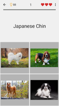 Baixar Cães - Adivinhe todas as raças Curiosidades para Android captura de tela 4