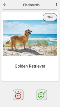 Baixar Cães - Adivinhe todas as raças Curiosidades para Android captura de tela 5