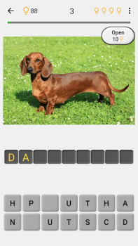 Baixar Cães - Adivinhe todas as raças Curiosidades para Android captura de tela 7