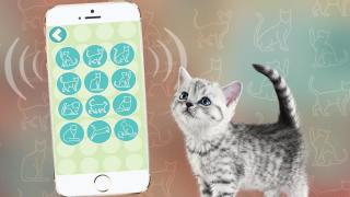 Baixar Переводчик на кошачий язык Entretenimento para Android captura de tela 2