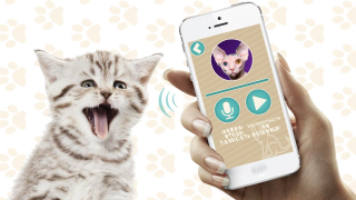 Baixar Переводчик на кошачий язык Entretenimento para Android captura de tela 4