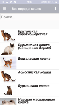 Baixar Все породы кошек Livros e Referências para Android captura de tela 2