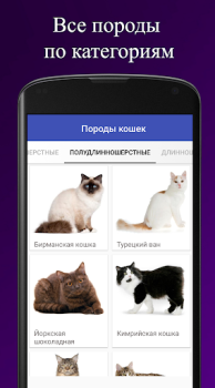 Baixar Породы кошек. Справочник пород Livros e Referências para Android captura de tela 2