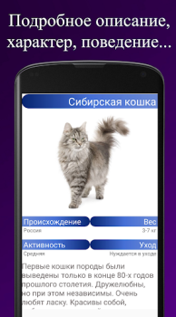 Baixar Породы кошек. Справочник пород Livros e Referências para Android captura de tela 3