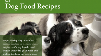 Baixar Dog Food Recipes - Homemade Do Comida e bebida para Android captura de tela 4