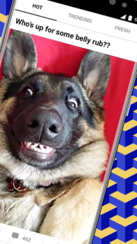 Baixar 9GAG: Funny GIF, Meme & Video Entretenimento para Android captura de tela 2