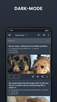 Baixar BaconReader for Reddit Notícias e Revistas para Android captura de tela 2