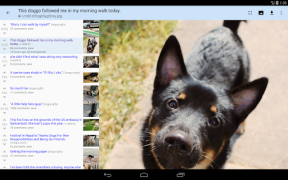 Baixar rif is fun for Reddit Notícias e Revistas para Android captura de tela 7