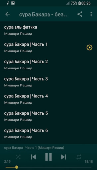Baixar сура Бакара без интернета Мишари Рашид Estilo de vida para Android captura de tela 2