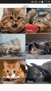 Baixar Cat sounds - play with cats Entretenimento para Android captura de tela 5