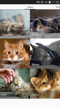 Baixar Cat sounds - play with cats Entretenimento para Android captura de tela 6