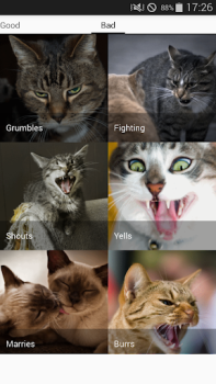 Baixar Cat sounds - play with cats Entretenimento para Android captura de tela 7