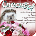 Baixar  Открытки и Картинки Спасибо и Благодарю
