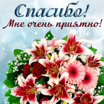 Baixar Открытки и Картинки Спасибо и Благодарю Entretenimento para Android captura de tela 3