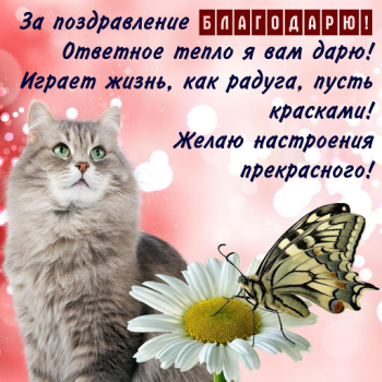 Baixar Открытки и Картинки Спасибо и Благодарю Entretenimento para Android captura de tela 5