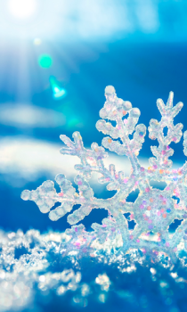 Baixar Queda de neve Live Wallpaper (fundo ao vivo) Personalização para Android captura de tela 2