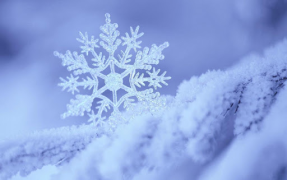 Baixar Queda de neve Live Wallpaper (fundo ao vivo) Personalização para Android captura de tela 4