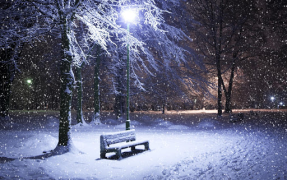 Baixar Queda de neve Live Wallpaper (fundo ao vivo) Personalização para Android captura de tela 5