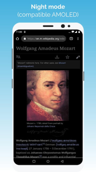 Baixar Kiwi Browser - Fast & Quiet Contato para Android captura de tela 3