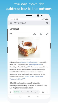 Baixar Kiwi Browser - Fast & Quiet Contato para Android captura de tela 4