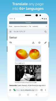 Baixar Kiwi Browser - Fast & Quiet Contato para Android captura de tela 5