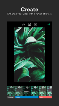 Baixar EyeEm - Foto Filtros Câmara Foto para Android captura de tela 3