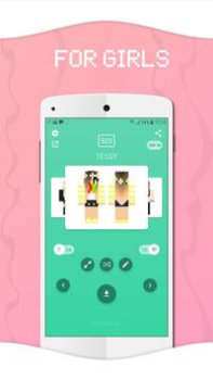 Baixar Skins for Minecraft Ferramentas para Android captura de tela 6