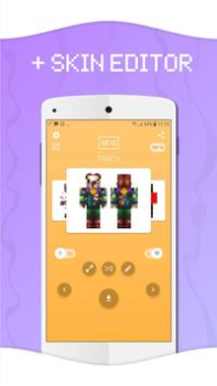 Baixar Skins for Minecraft Ferramentas para Android captura de tela 7