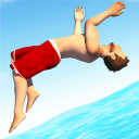 Baixar  Flip Diving