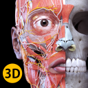 Baixar  Anatomia - Atlas 3D