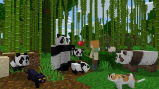 Teste do Minecraft