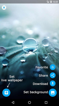 Baixar Dente de leão fundo dinâmicar Personalização para Android captura de tela 6