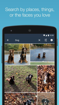 Baixar Amazon Photos Foto para Android captura de tela 4