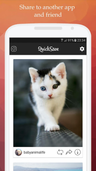 Baixar QuickSave for Instagram Foto para Android captura de tela 4