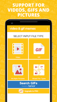 Video & GIF Memes