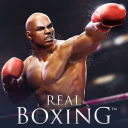 Baixar  Real Boxing