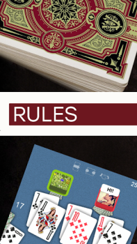 Baixar Дурак На Раздевание - Правила Игры Livros e Referências para Android captura de tela 3