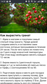 Baixar Дача и огород Хитрости Советы Livros e Referências para Android captura de tela 3