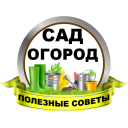 Baixar  Сад и огород Полезные советы