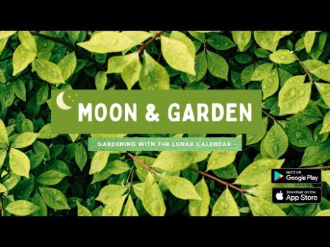 Baixar Moon & Garden Estilo de vida para Android captura de tela 8