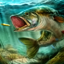 Baixar  Ultimate Fishing Simulator