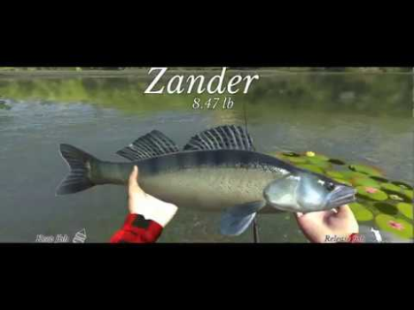 Ultimate Fishing Simulator