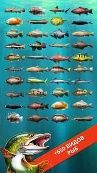 Baixar Let's Fish: Simulador de pesca Simuladores para Android captura de tela 3