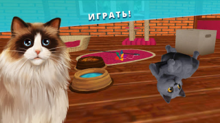Baixar Pet Hotel - Meu hotel animal Simuladores para Android captura de tela 2