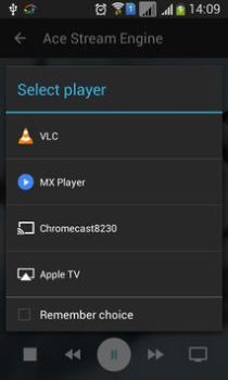 Baixar Ace Stream Media Editores e Reprodutores de Vídeo para Android captura de tela 7