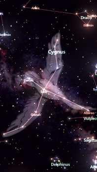 Baixar Star Tracker - Mobile Sky Map Educação para Android captura de tela 2