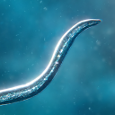 Baixar  Bionix: Spore Evolution Sim 3D
