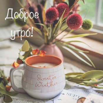 Baixar Доброе утро Добрый вечер Entretenimento para Android captura de tela 3