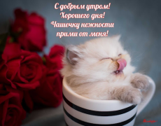 Baixar Прикольные с добрым утром Entretenimento para Android captura de tela 2